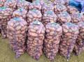 Продам молодой картофель оптом в Краснодарском крае,картофель оптом краснодар,урожай 2018 года